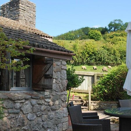Fenny Castle Vineyard Cottage Wookey Екстериор снимка