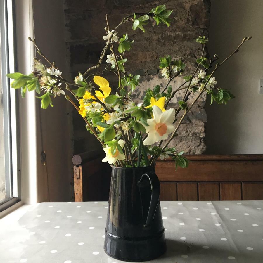 Fenny Castle Vineyard Cottage Wookey Екстериор снимка