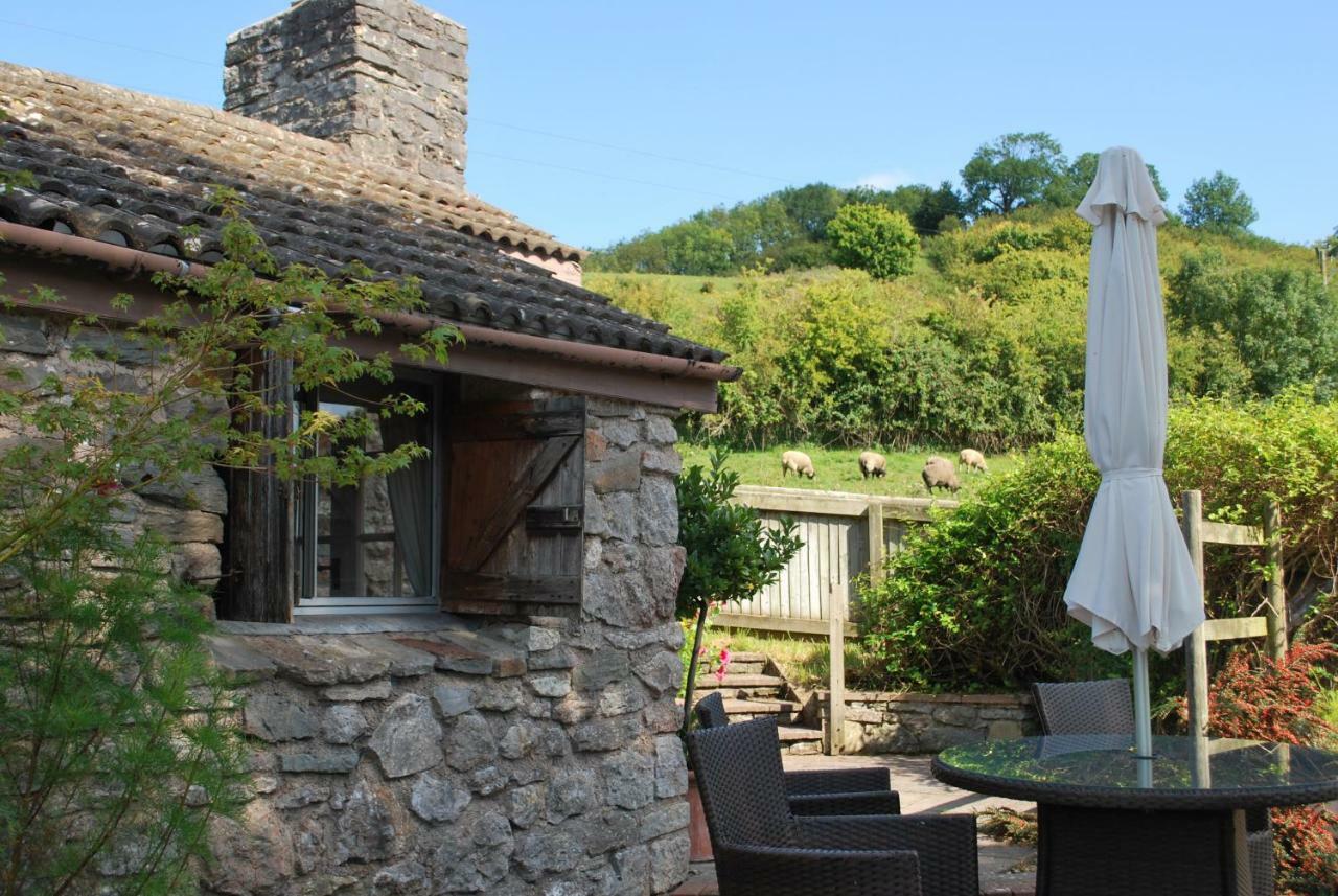 Fenny Castle Vineyard Cottage Wookey Екстериор снимка