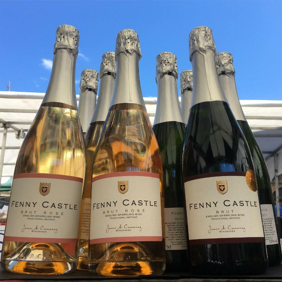 Fenny Castle Vineyard Cottage Wookey Екстериор снимка