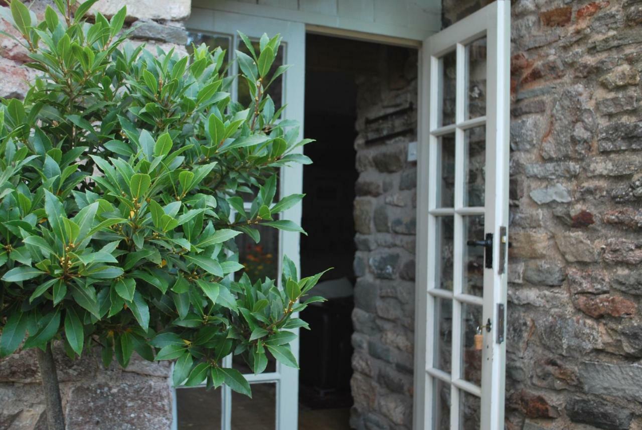 Fenny Castle Vineyard Cottage Wookey Екстериор снимка