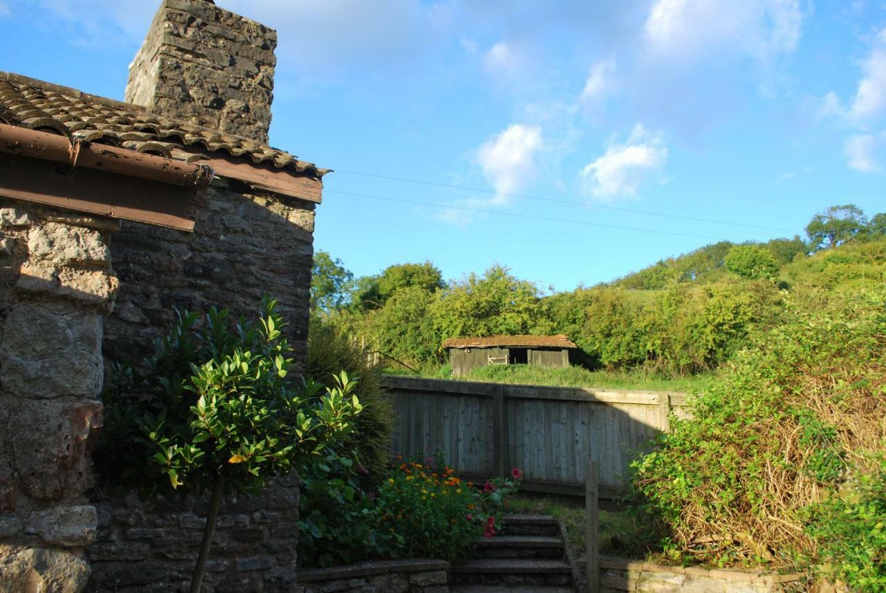 Fenny Castle Vineyard Cottage Wookey Екстериор снимка