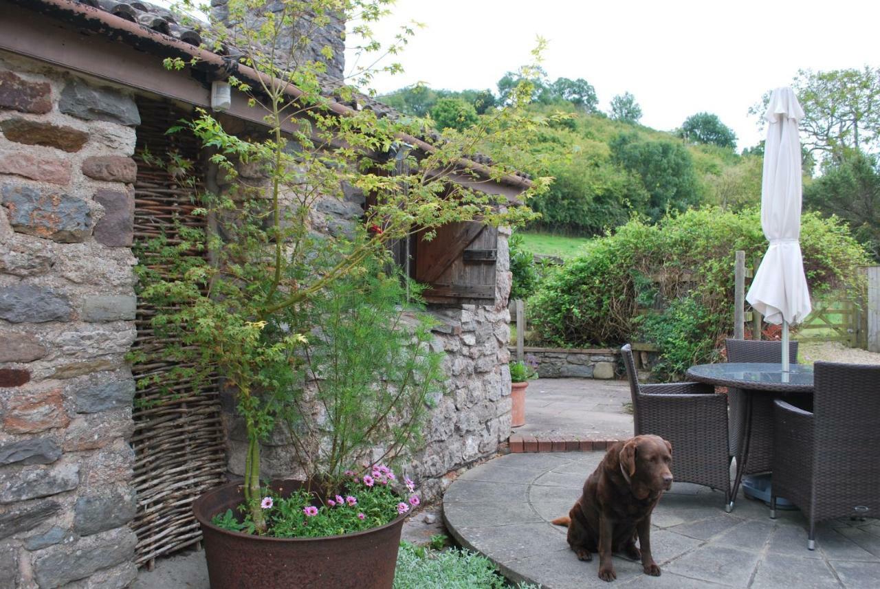 Fenny Castle Vineyard Cottage Wookey Екстериор снимка